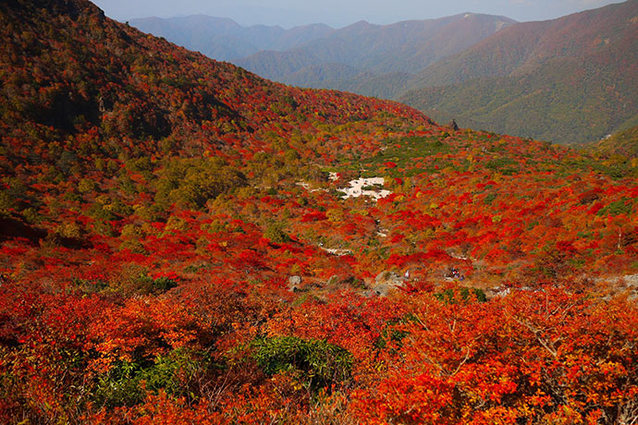 東京賞楓 乘栃木縣那須紅葉纜車 Spoilclub 旅遊活動及體驗訂購