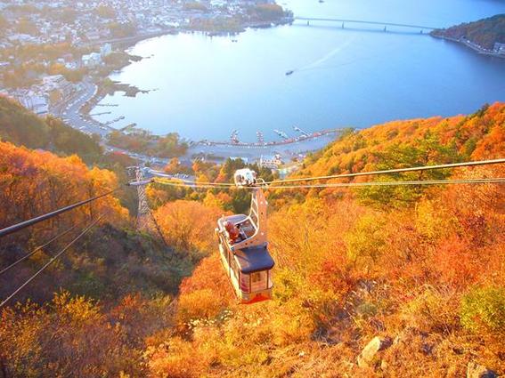 東京 富士山紅葉出沒注意 Spoilclub 旅遊活動及體驗訂購