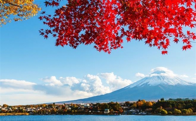 東京 富士山紅葉出沒注意 Spoilclub 旅遊活動及體驗訂購
