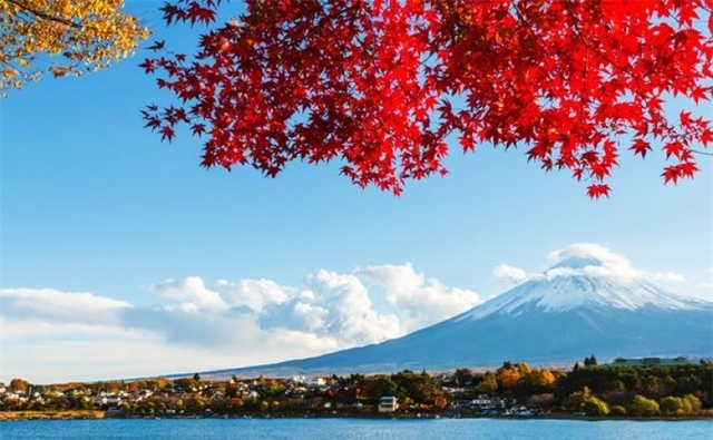 東京 富士山紅葉出沒注意 Spoilclub 旅遊活動及體驗訂購